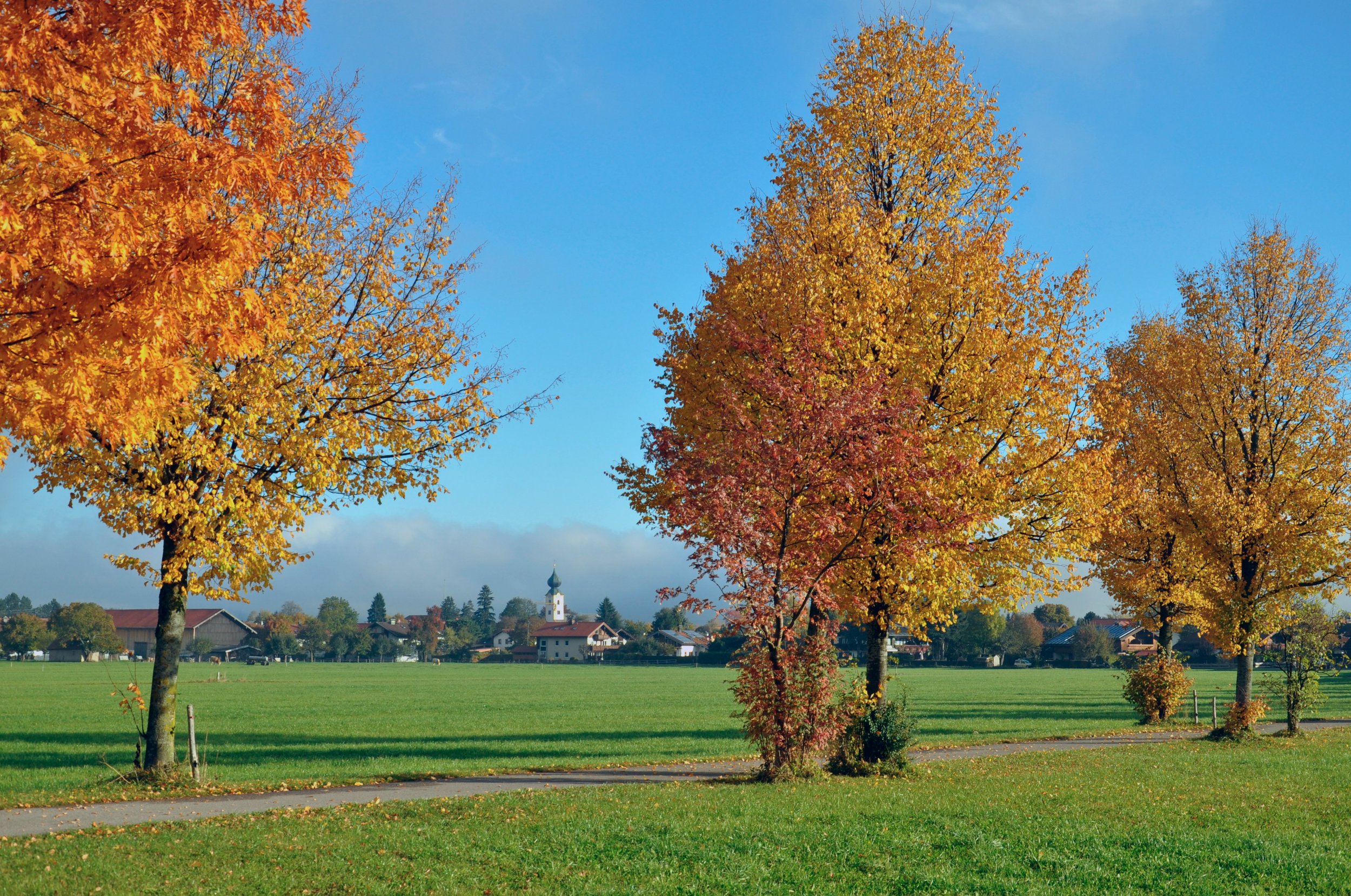 Herbst in Grassau